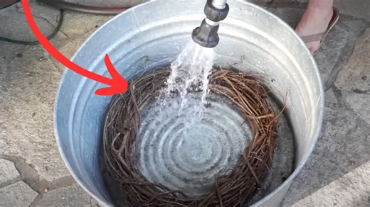 Watch this before you start decorating for fall!