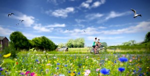 Social Deal, ontdek jouw stad voor een onverslaanbare prijs - De beste deals!