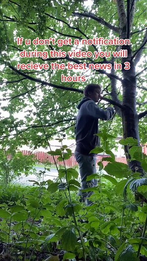 Like & share to lock in #fyp #lockin #DazItUp #prideicon #foryoupage #foryou #viral #rmtok