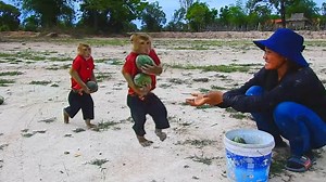 WoW Smart Monkey Help Mother Work At Field | Amazing TV