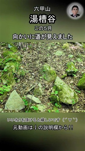 向かいに道が見えました 一応 そちらの方へ（No Voice / Nature Sounds / POV) 六甲山 有馬温泉 極楽茶屋 バリ山行
