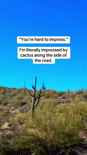 Cactus: The Plant That Will Impress You