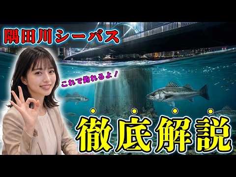 [Beginner’s Guide] The Basics of Sea Bass Fishing on the Sumida River! Tackle, Rules, and Recomme...
