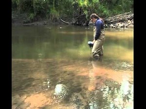 Dissolved Oxygen Monitoring