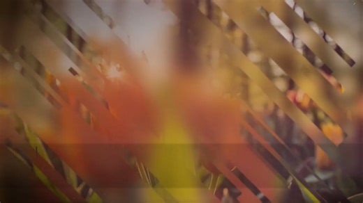 Sunday Service at 10:30am