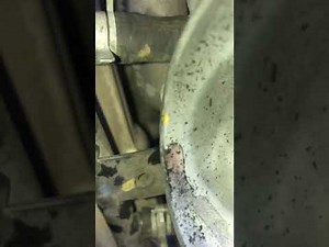 2003 Chevy Monte Carlo Thermostat Replacement