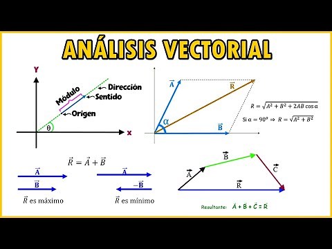 VECTORES: Teoría y Ejercicios Resueltos