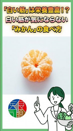「白い筋」は栄養豊富！？白い筋が気にならない「みかん」の食べ方 #shorts #雑学 #健康 #栄養 #管理栄養士 #みかん #医食同源 #JIDL #ペクチン #アルベド #ヘスペリジン