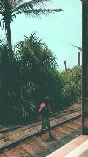 #train #railway #automobile #sleepaid #peacefuljourney #relaxation #nighttrain #trainsoundsforsleep