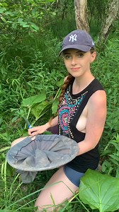 Spring Peeper! #frog #springpeeper #plants #planttok #botany #botanist #gardening #garden #maryland #marylandmodel #dmvmodel #nativeplants #hike #hiking #ginger #gingerhair #redhead #redhair | Adria Marie