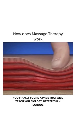 BIOLOGY | MEDICAL | HEALTH on Instagram: "Muscle therapy, also known as massage therapy or soft tissue therapy, is a manual or hands-on technique used to promote relaxation, relieve pain and stiffness, and improve overall muscle function. Here’s how it works: Benefits 1. *Relaxation*: Muscle therapy can help reduce muscle tension and promote relaxation. 2. *Pain relief*: It can help alleviate pain and discomfort caused by muscle strain, injury, or chronic conditions. 3. *Improved flexibility*: R