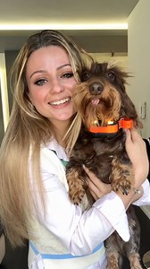 JEU CONCOURS AVEC DOGTRA ! Rendez-vous sur mon compte Instagram @johannaclermont pour participer et remporter votre pack Pathfinder 2 🥳 *collaborationcommerciale* | Johanna Clermont