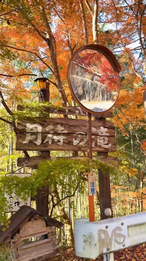 ゆか🍃 茨城のおでかけ・グルメ on Instagram: "紅葉スポット詳細はこちら↓🍁 ................................................. 【月待の滝】 📍茨城県久慈郡大子町川山1369-1 🅿️駐車場あり 撮影：11/17（月） ................................................. 滝の裏側からも紅葉が眺められる 秋の絶景スポット🍂 滝×紅葉。神秘的でとっても癒されます😌 この時期しか見られない景色を 是非、見に行ってみてください！ ＿＿＿＿＿＿＿＿＿＿＿＿＿＿＿＿＿＿ 最後までご覧いただきありがとうございます！ ☞（@yuka__ibaraki） いいね、コメント、フォロー励みになります🍃 ＿＿＿＿＿＿＿＿＿＿＿＿＿＿＿＿＿＿ #茨城観光 #茨城旅行 #紅葉スポット #絶景スポット #月待の滝 #滝 #紅葉 #パワースポット"