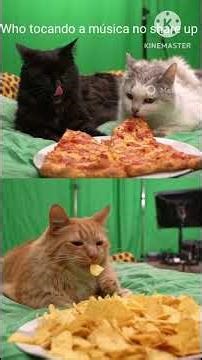 YouTube YouTube gatos kicks kinemaster #memes