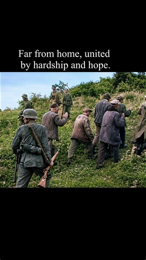 Hitler’s Desperate Hunt for Baku Oil | Operation Edelweiss #WW2#MilitaryHistory #BattleOfTheCaucasus