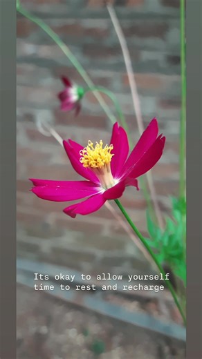 B 🦋 Perera (@bee_with_)’s videos with original sound - Slowed songs