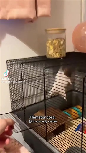 random stuff (@chrisrandom77)’s videos with original sound - random stuff