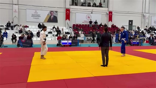 Judo Lessons: Building Champions Beyond Birth