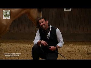 Horst Becker - Freiheitsdressur Trailer