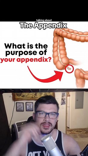 Understanding the Appendix: Functions and Myths