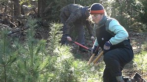 Forestry class helps UMaine students learn about the outdoors