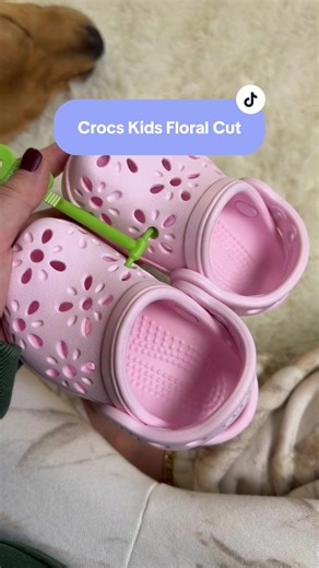 Amanda Nichole (@amandaaanichole_)’s videos with original sound - Amanda Nichole