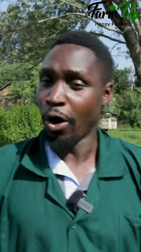 Making Your Farm Unstoppable: Essential Tips and Strategies