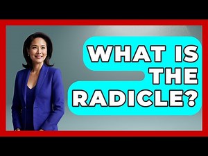 What Is The Radicle? - The World of Agriculture