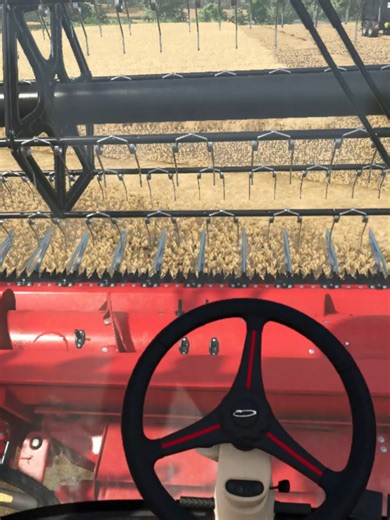 les moissons !!!! #fs25 #farmingsimulator25 #farming #moisson #tracteur
