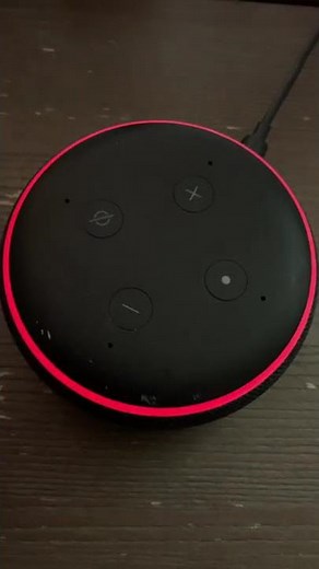 Why ECHO DOT Pulses RED 🤔🔴