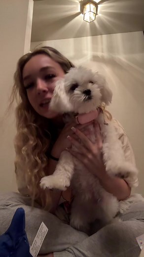 Obsessed with Squishmallows - Unboxing and Review