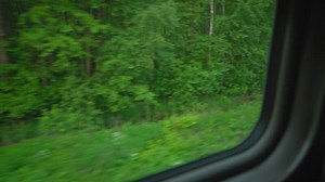 A Scenic View from a Train Window