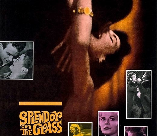 Splendor in the Grass Summary, Trailer, Cast, Where to Watch and More