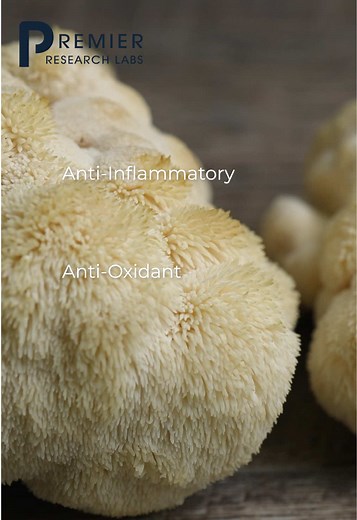 Lion’s Mane: Boost Brain and Immune Function Naturally