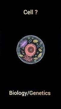 cell definition and discovery