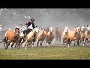Polcas and Colonia Lavalleja (uruguayan folk music)