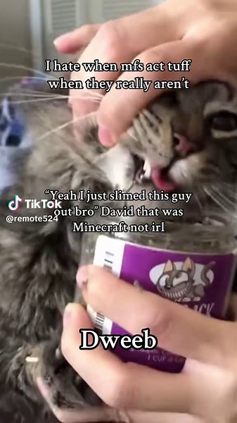 Learning Languages with Stickers and Minecraft