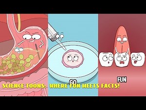 Fun Science Toons: Learn with a Laugh!#animation #funny #video