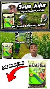 ‼️‼️How to Quickly Overcome Acidic Soil PH‼️The Best Fertilizer for Acidic Soil ✅ Calcium Fertili...