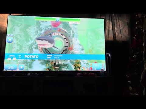 Playing shark bite two