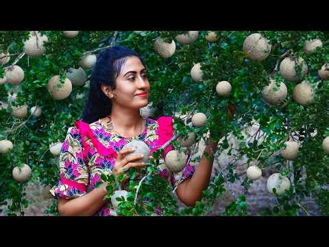 Wood Apple Delights! 🍈 That Sour & Sticky Pulp To Jam, Ice Packets, Tasty Masala & more!