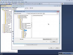 SQL SERVER - Restore Database Backup using SQL Script (T-SQL) - SQL Authority with Pinal Dave