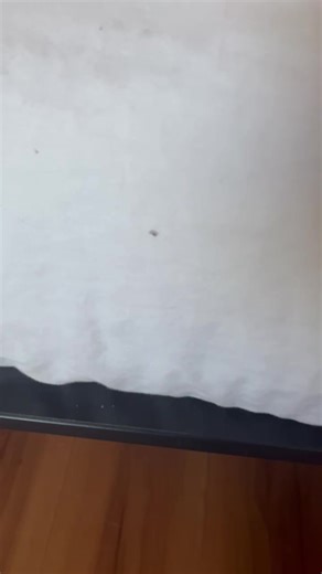 Here at Motel6⭐️ : The online pictures of the room don’t match the actual in person view. The rooms are infested with bed bugs and the eating areas are indescribably disgusting and unsanitary. The initial room that was reserved; 320, was disgusting and immediately proved to be unhealthy for not only the pregnant woman who reserved it, but anyone else for that matter. The 2nd room we transferred to, 218, had an out of order, out of fit and working conditions heater (which we were warned beforehan