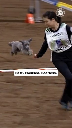 Fast Focused Fearless