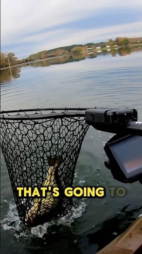 Why You’re Losing Bass on a Chatterbait (And How to Fix It)