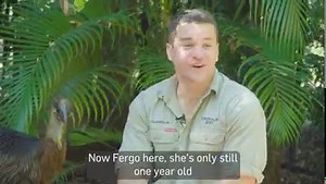 15K views · 1.4K reactions | We can't believe that our cassowary chick is celebrating her first birthday already! Join Chandler and find out how Fergo feels about her beautiful birthday cake. Check out our YouTube channel for more fun videos: www.youtube.com/australiazoo | Australia Zoo | Facebook