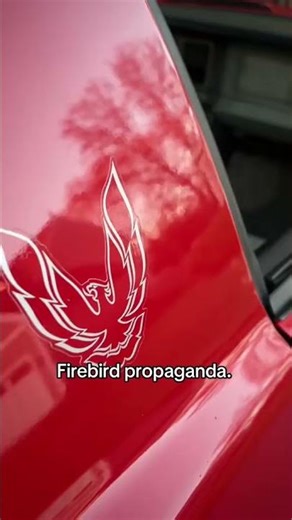 1988 Pontiac firebird formula 350 WS6 #cartok #firebird #formula #350 #foryou #ws6