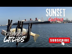 Huge Croaker Catches with the Squad in Long Beach 🎣‼️