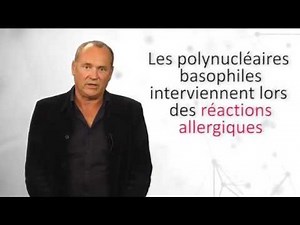 Complete Blood Count (CBC) White Blood Cell Count