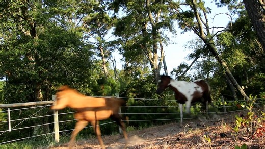 10K views · 386 reactions | August Roundup | DSC Photography | Facebook